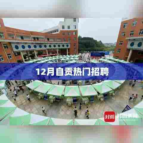 自贡十二月最新招聘信息速递