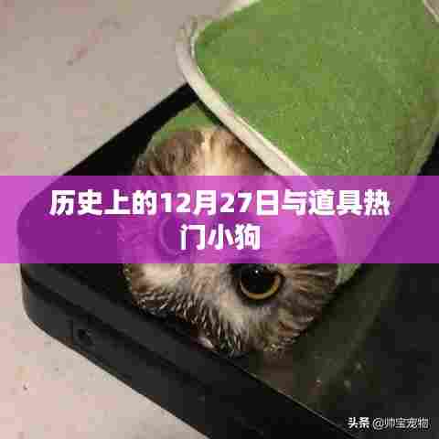 历史上的大事件与道具小狗，揭秘十二月二十七日背后的故事