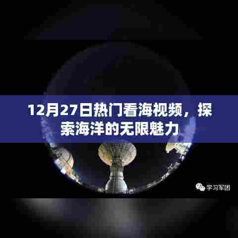 探索海洋魅力，热门看海视频，领略大海之美