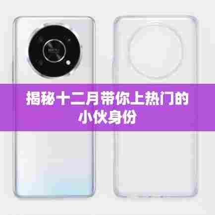 揭秘十二月热门小伙的真实身份
