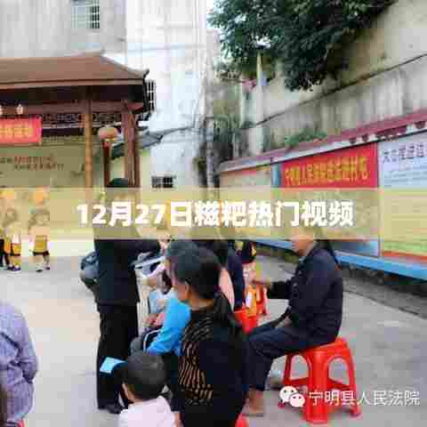 12月27日糍粑视频大热
