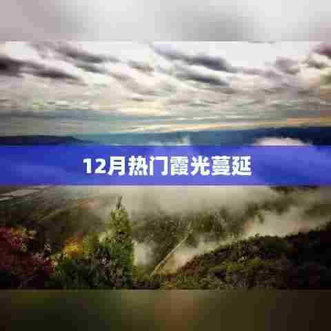 成功案例 第207页