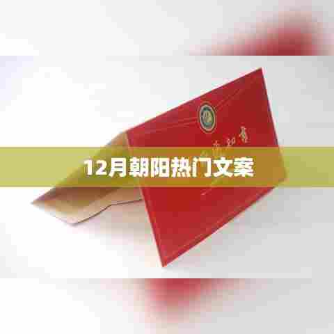 朝阳十二月热门文案盘点