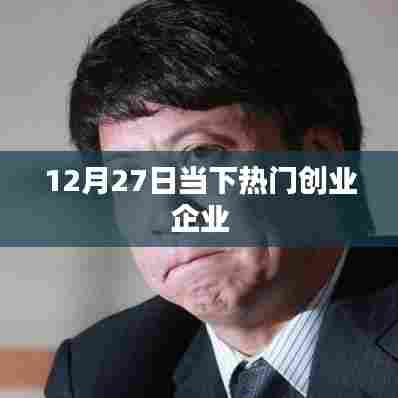 当下热门创业企业动态解析，聚焦创业市场新机遇