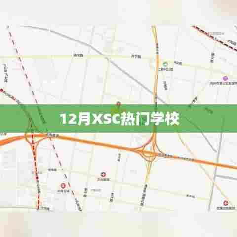 揭秘十二月热门学校榜单，XSC学校上榜！