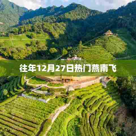 燕南飞往年年末迁徙盛景揭秘