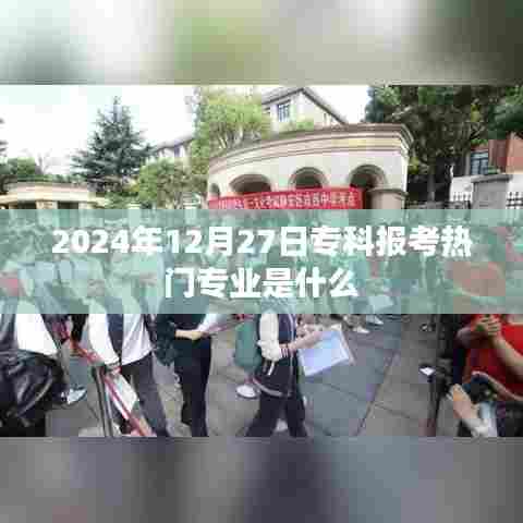 业务领域 第211页