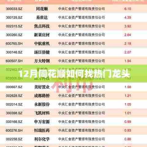 12月同花顺热门龙头股如何精准捕捉？