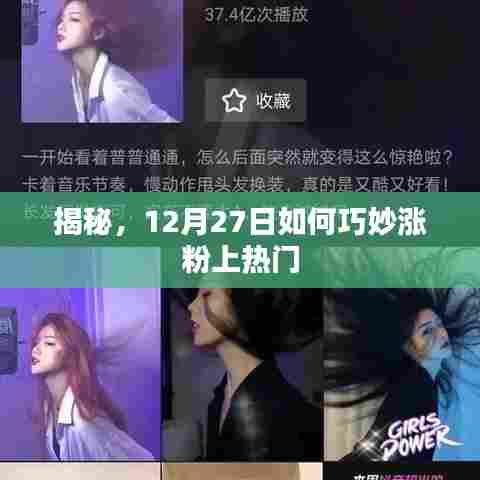 揭秘，如何巧妙涨粉上热门？揭秘12月27日的秘密策略