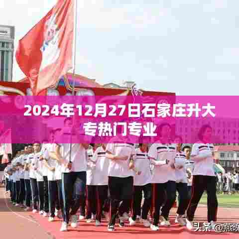 2024年石家庄大专热门专业一览