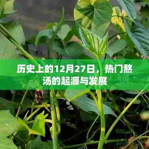 关于热门熬汤的起源与发展，历史上的十二月二十七日回顾