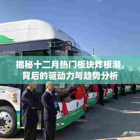 揭秘十二月板块炸板潮背后的驱动力与趋势分析