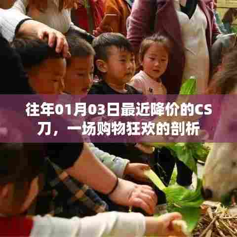 CS刀购物狂欢揭秘，降价背后的故事