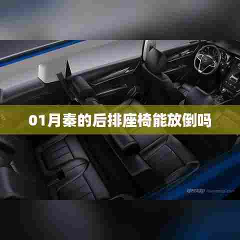 秦车型后排座椅功能详解，能否放倒？