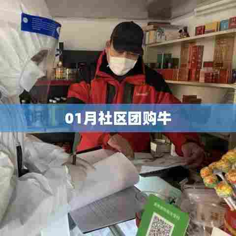 飞墙走壁 第7页