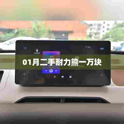 二手耐力熊一月份超值价一万块