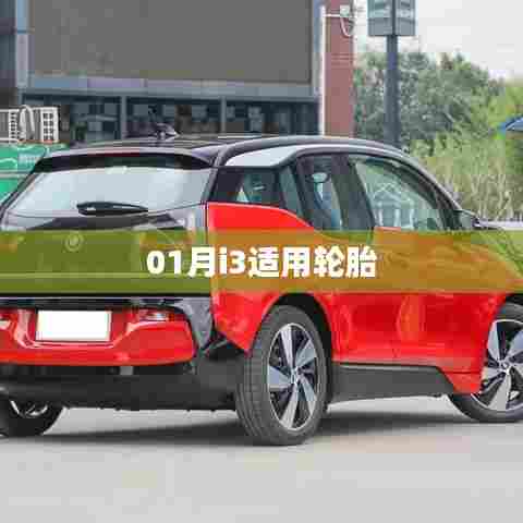 i3轮胎一月份适用指南