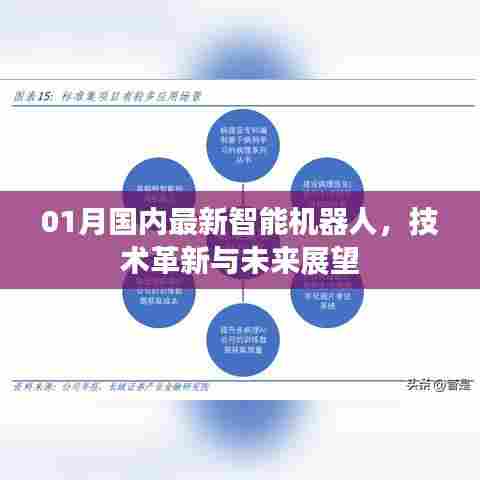 最新智能机器人技术革新及未来展望（国内篇）