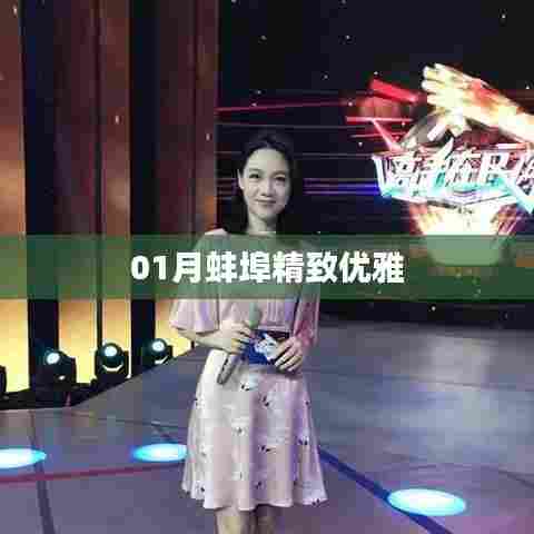 蚌埠精致优雅风采展现