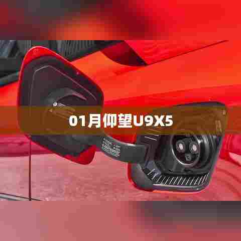 仰望U9X5，一月份科技新品亮相