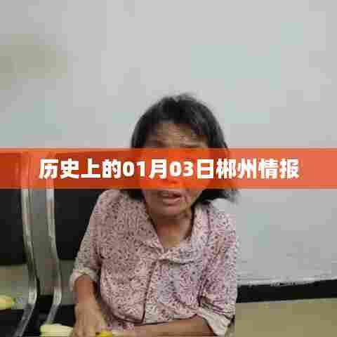 郴州历史上的情报揭秘，一月三日事件回顾