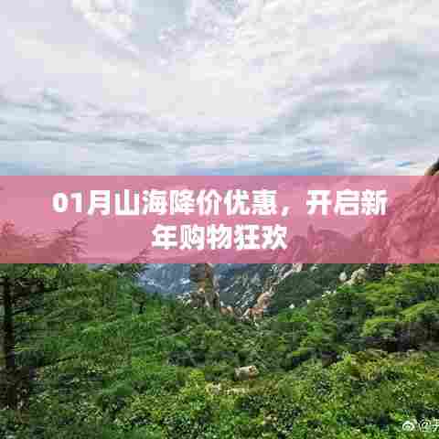 01月山海降价狂欢，新年购物盛宴开启