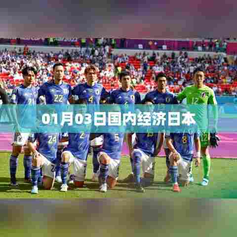 国内经济日本动态，最新消息与趋势分析