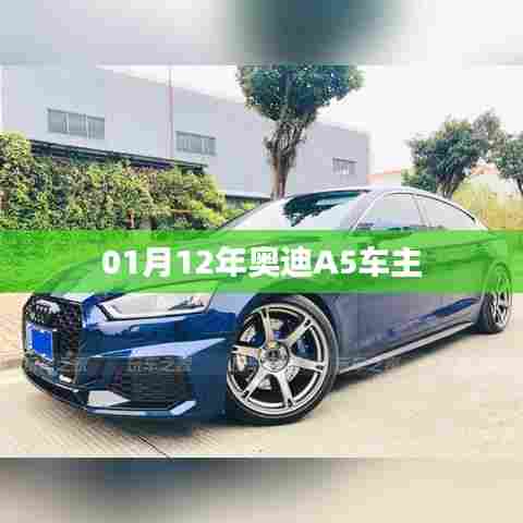 奥迪A5车主指南，车辆使用、保养与注意事项