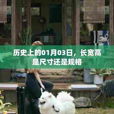 地覆天翻 第6页