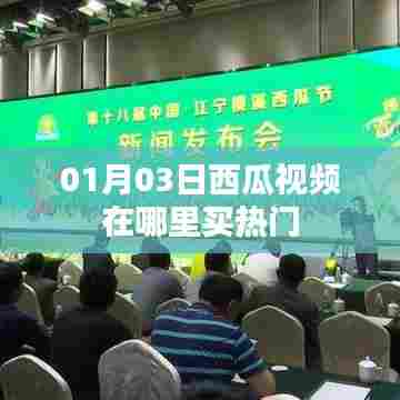 西瓜视频购买热门攻略，01月03日操作指南