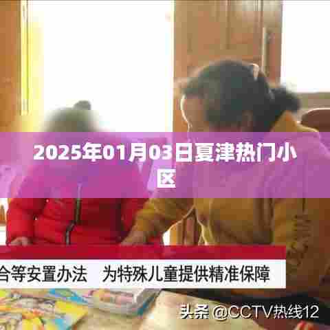 夏津热门小区最新资讯，2025年1月3日动态