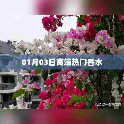 高端热门香水，精选推荐，尽在01月03日