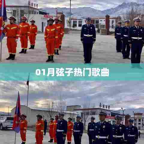 弦子最新热门歌曲，旋律动人