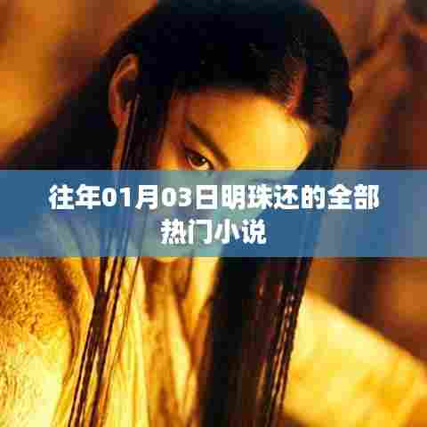 明珠热门小说推荐，精选历年元旦前后热门佳作