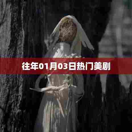 往年1月3日热门美剧盘点