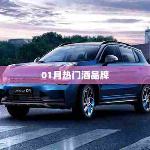 热门酒品牌榜单揭晓，一月份精选推荐