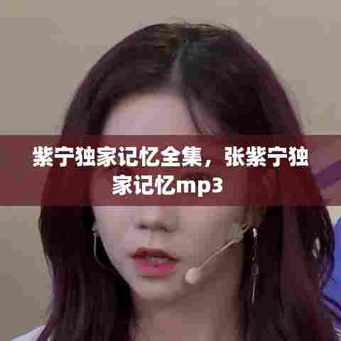 紫宁独家记忆全集，张紫宁独家记忆mp3 