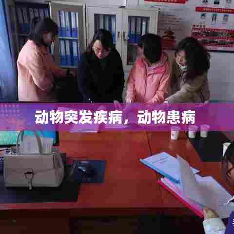 动物突发疾病，动物患病 