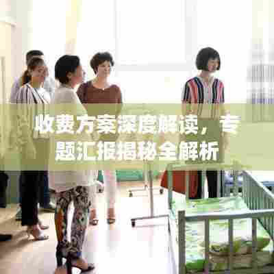 收费方案深度解读，专题汇报揭秘全解析
