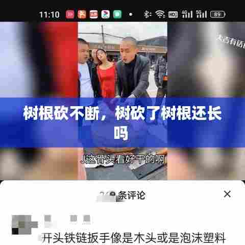 树根砍不断，树砍了树根还长吗 