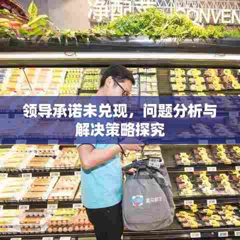 领导承诺未兑现，问题分析与解决策略探究