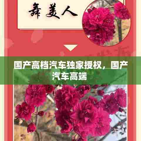 国产高档汽车独家授权，国产汽车高端 