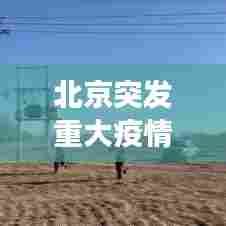 北京突发重大疫情事件， 