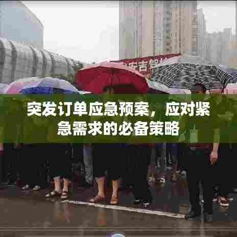 突发订单应急预案，应对紧急需求的必备策略
