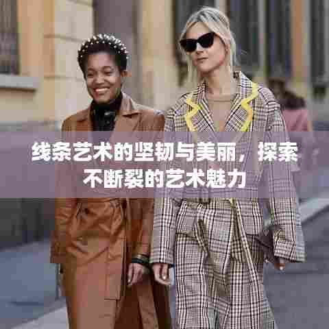 线条艺术的坚韧与美丽，探索不断裂的艺术魅力