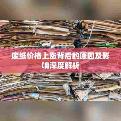 废纸价格上涨背后的原因及影响深度解析