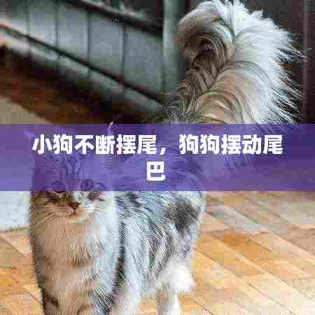 耳目闭塞 第7页