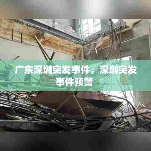广东深圳突发事件，深圳突发事件预警 
