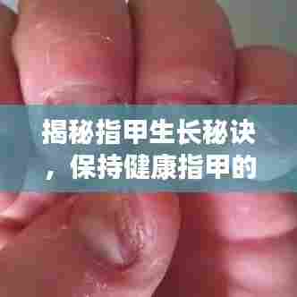揭秘指甲生长秘诀，保持健康指甲的小技巧！