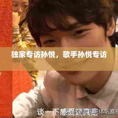 独家专访孙悦，歌手孙悦专访 